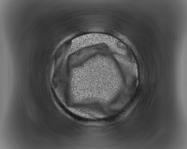 X0000086100625200704132148