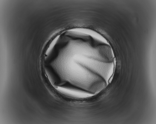 X0000086100626200704132148