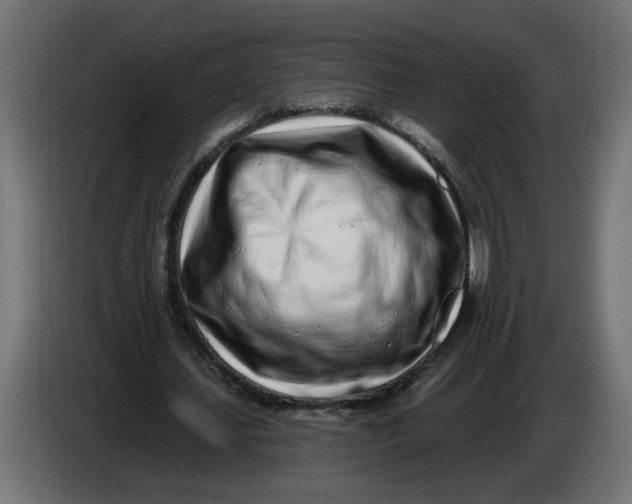 X0000086100627200704132148