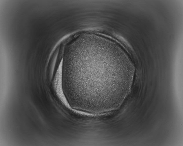 X0000086100628200704132148