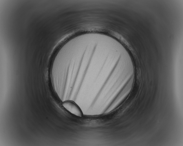 X0000086100629200704132148