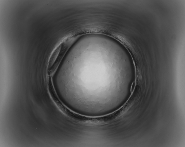 X0000086100630200704132148