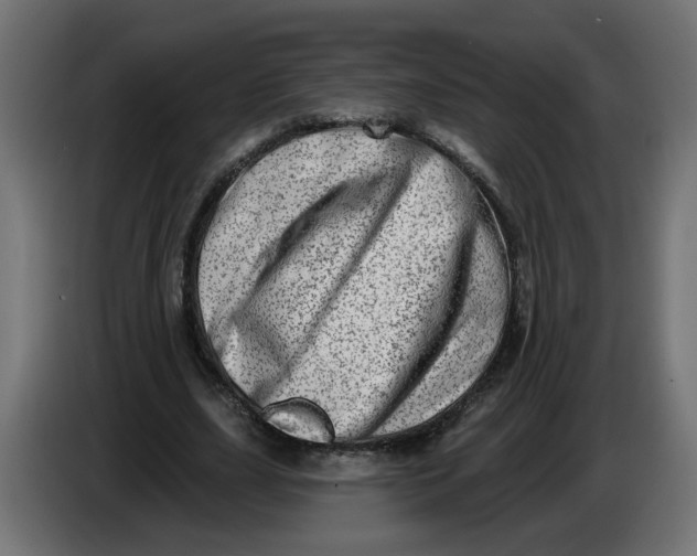 X0000086100631200704132148