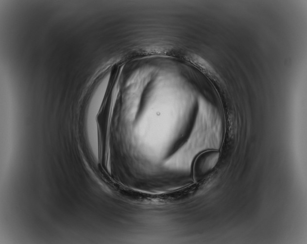 X0000086100634200704132148