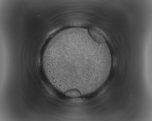 X0000086100636200704132148