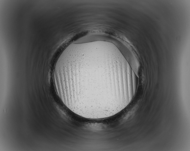 X0000086100637200704132148