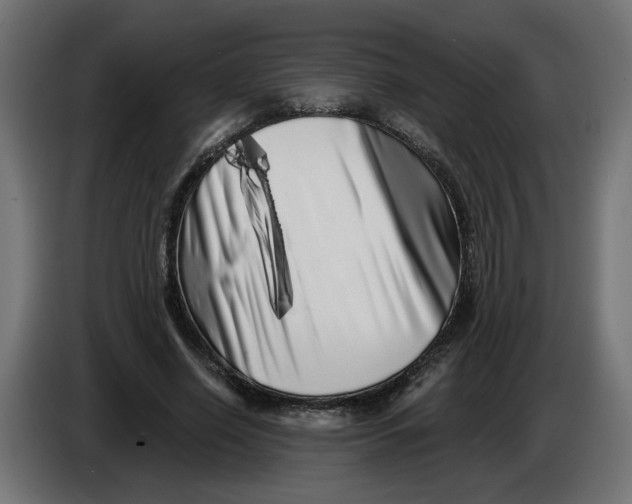 X0000086100638200704132148