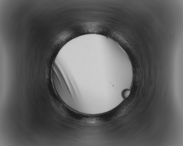 X0000086100639200704132148