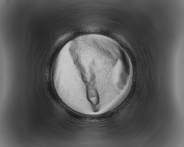 X0000086100640200704132148
