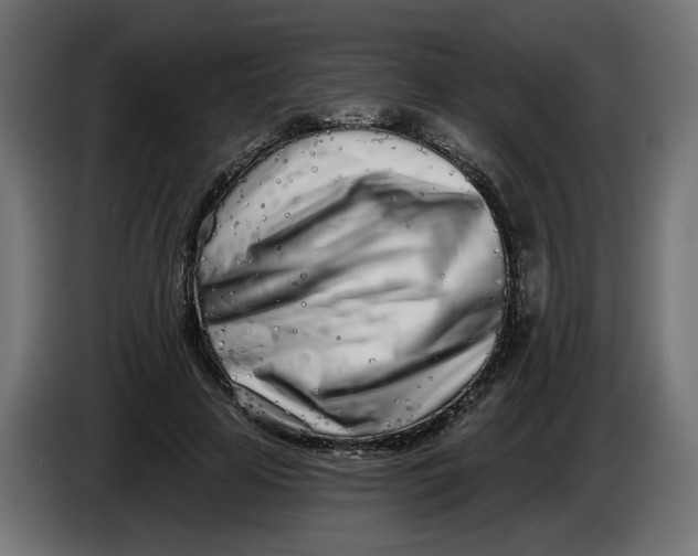 X0000086100641200704132148