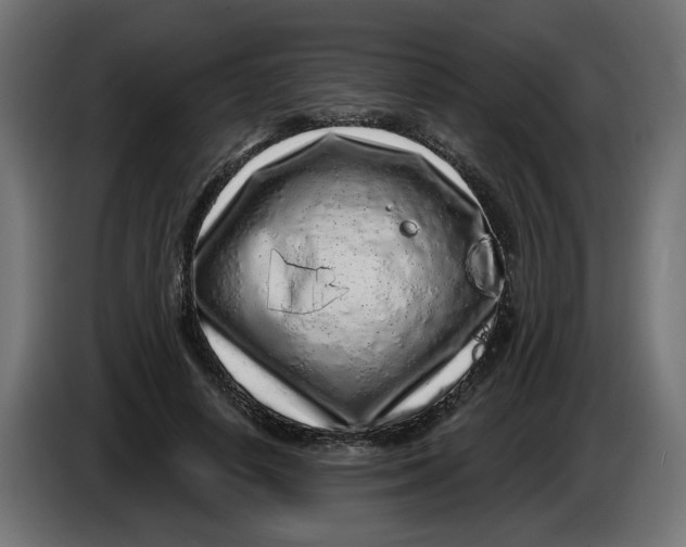 X0000086100642200704132148