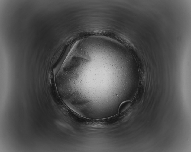 X0000086100643200704132148