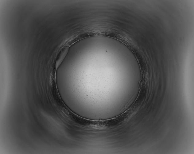 X0000086100644200704132148
