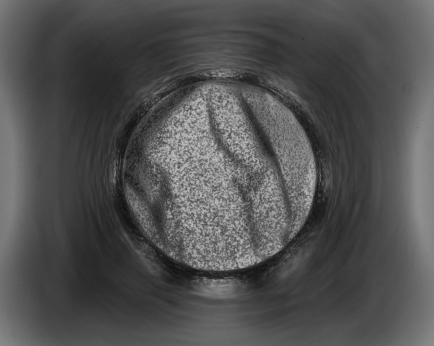 X0000086100645200704132148