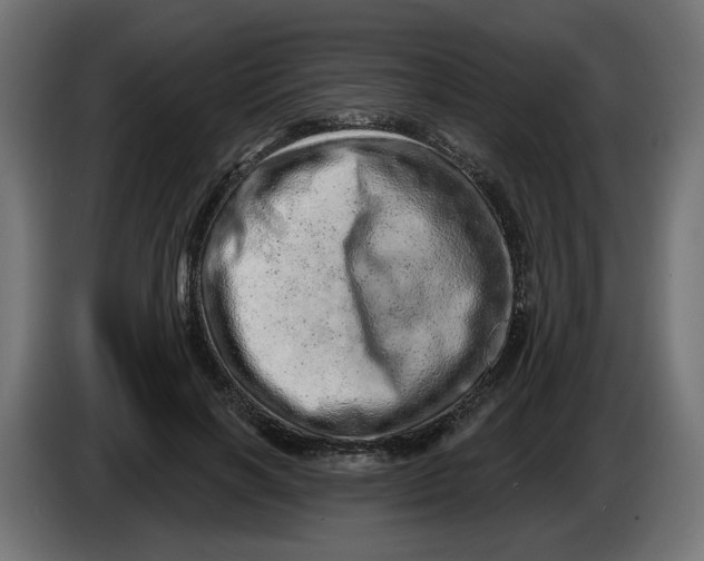 X0000086100646200704132148
