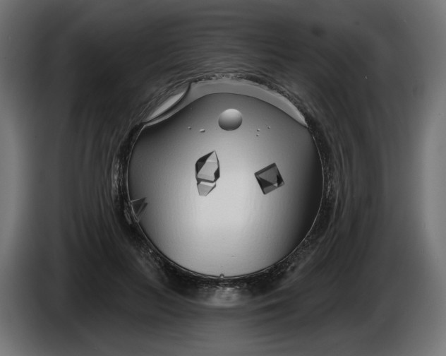X0000086100647200704132148