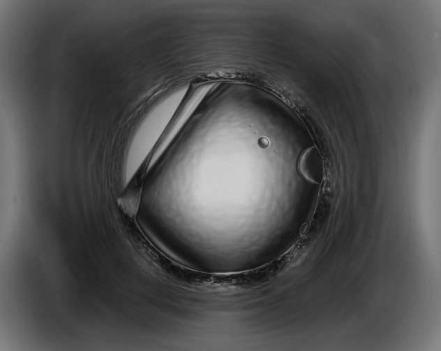 X0000086100648200704132148