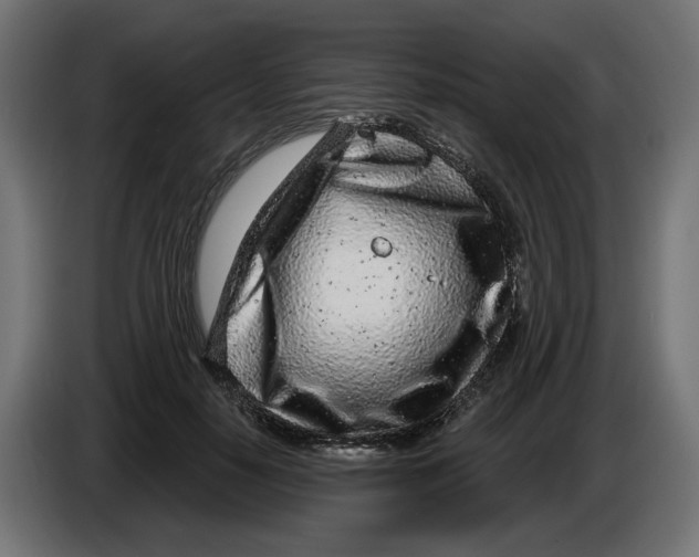 X0000086100650200704132148