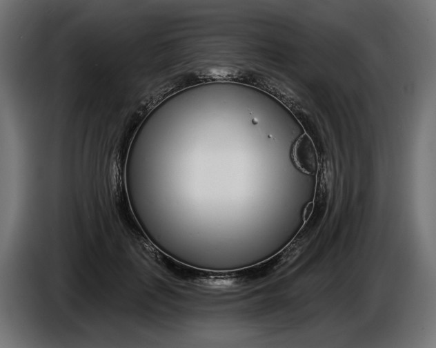 X0000086100651200704132148