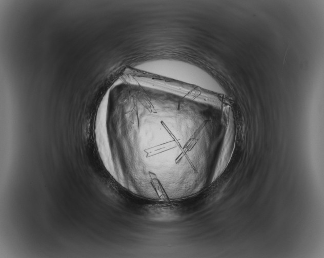 X0000086100652200704132148