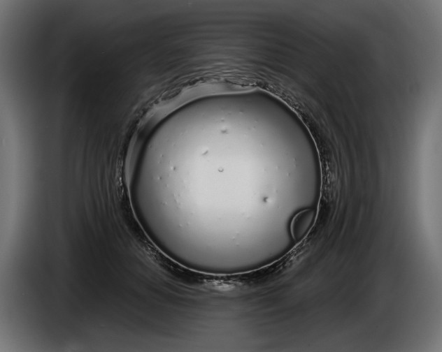 X0000086100654200704132148