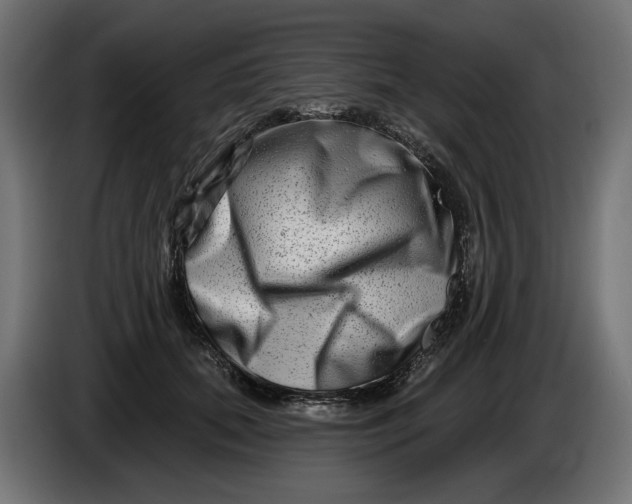 X0000086100655200704132148