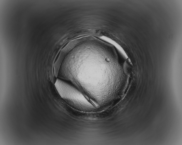X0000086100656200704132148