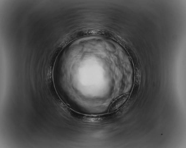 X0000086100657200704132148