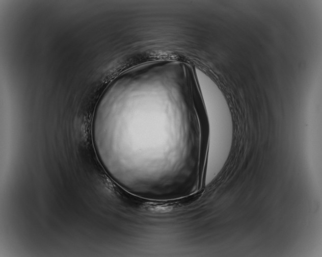 X0000086100658200704132148