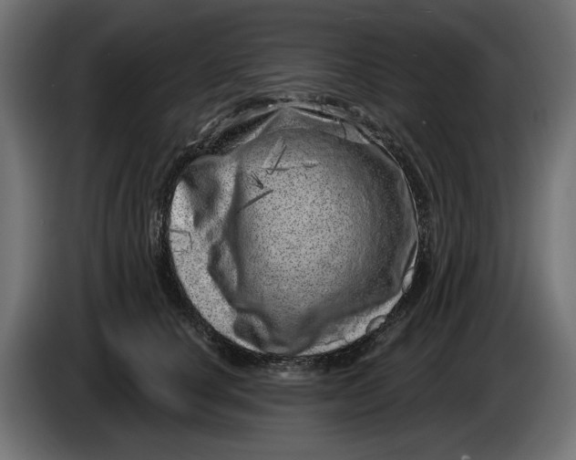X0000086100660200704132148
