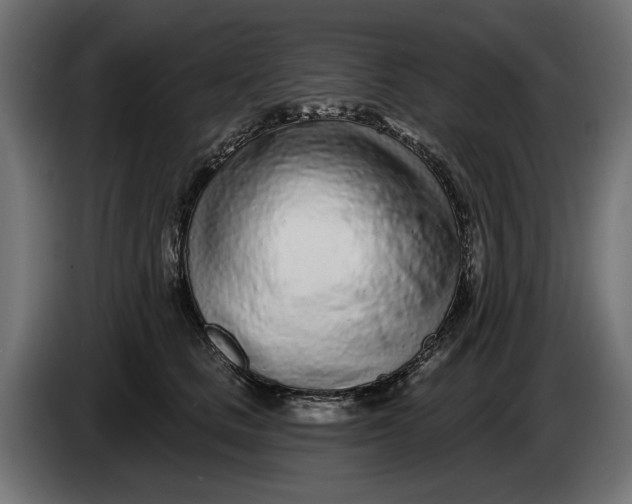 X0000086100661200704132148