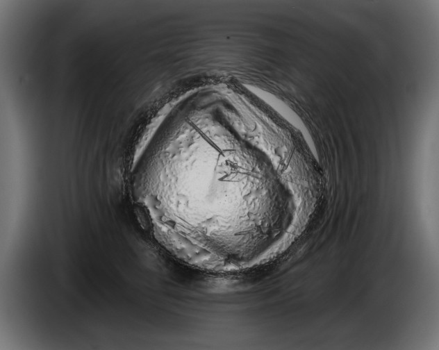 X0000086100662200704132148
