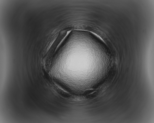 X0000086100663200704132148