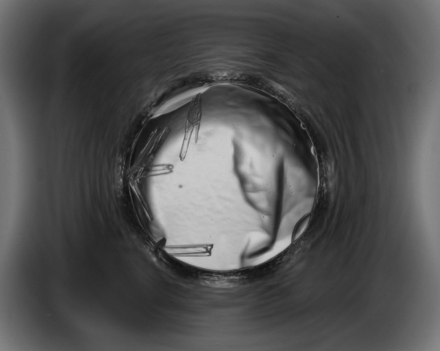 X0000086100664200704132148