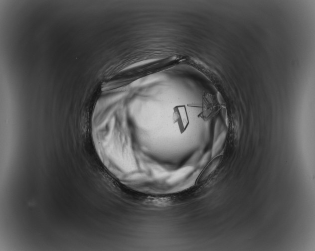 X0000086100665200704132148