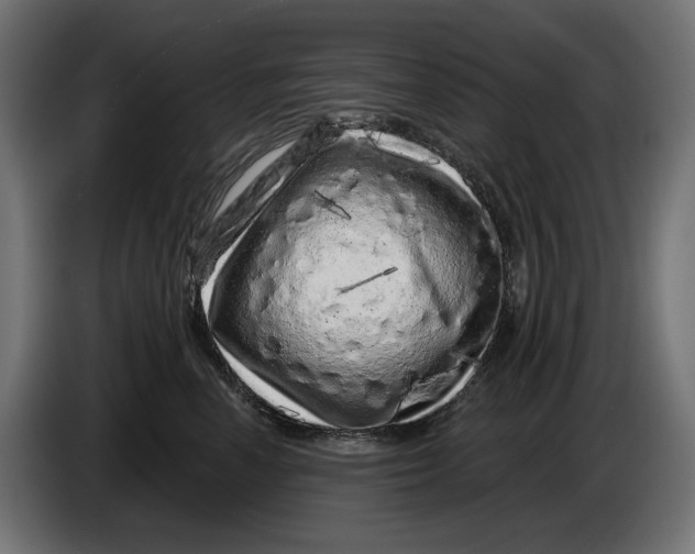 X0000086100666200704132148
