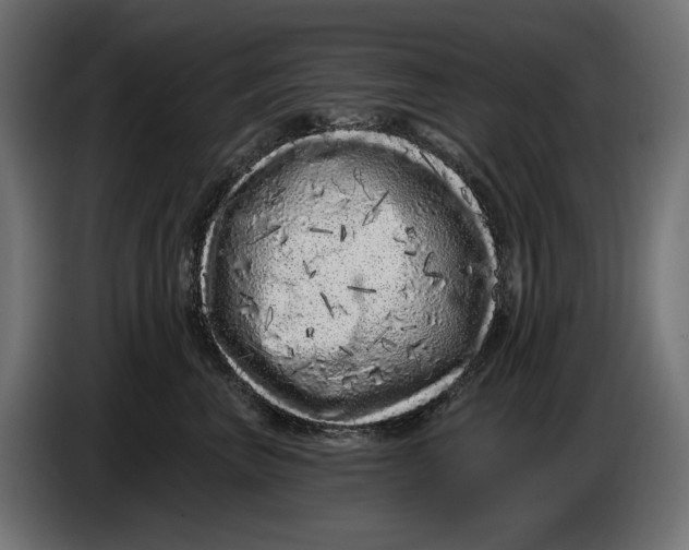 X0000086100667200704132148