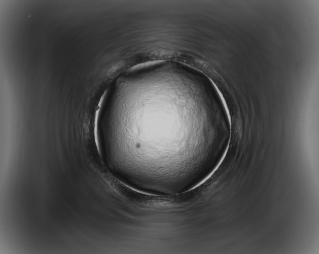 X0000086100668200704132148