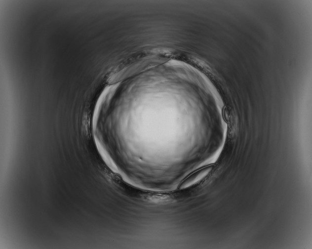 X0000086100669200704132149