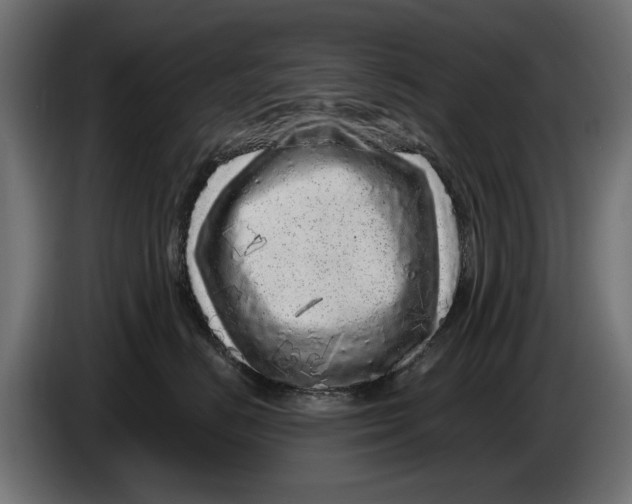 X0000086100670200704132149