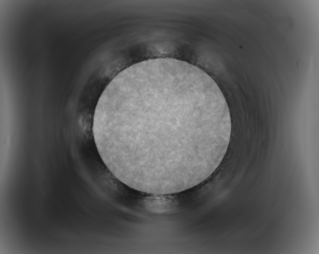 X0000086100672200704132149