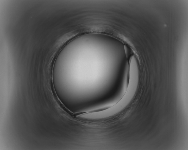 X0000086100673200704132148