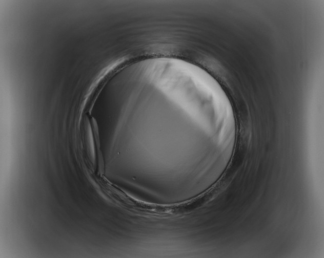 X0000086100674200704132148