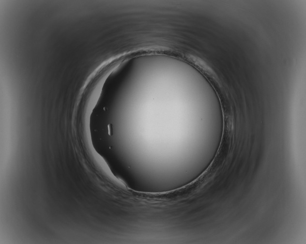 X0000086100676200704132148