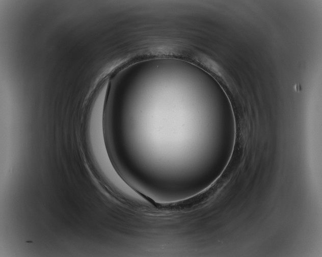 X0000086100677200704132148