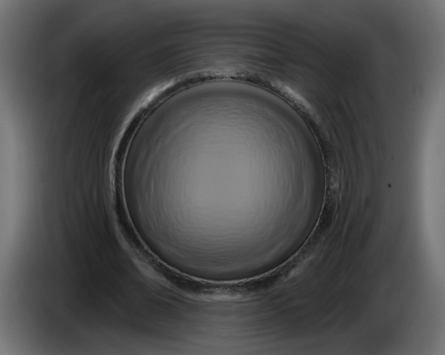 X0000086100678200704132148