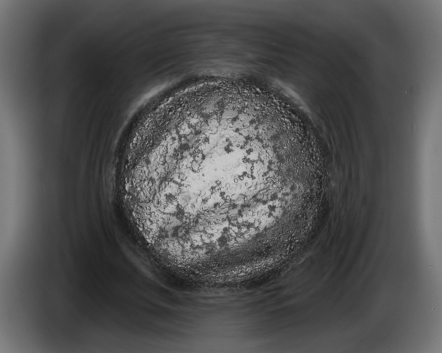 X0000086100679200704132148