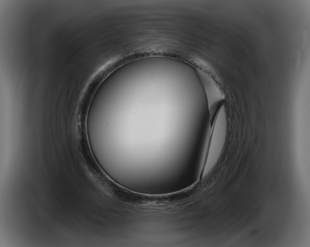 X0000086100680200704132148