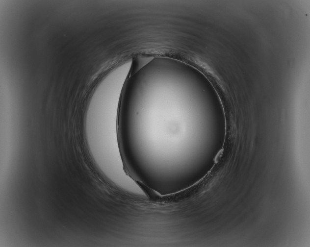 X0000086100681200704132148