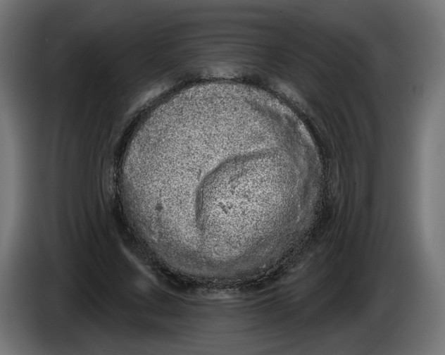 X0000086100683200704132148